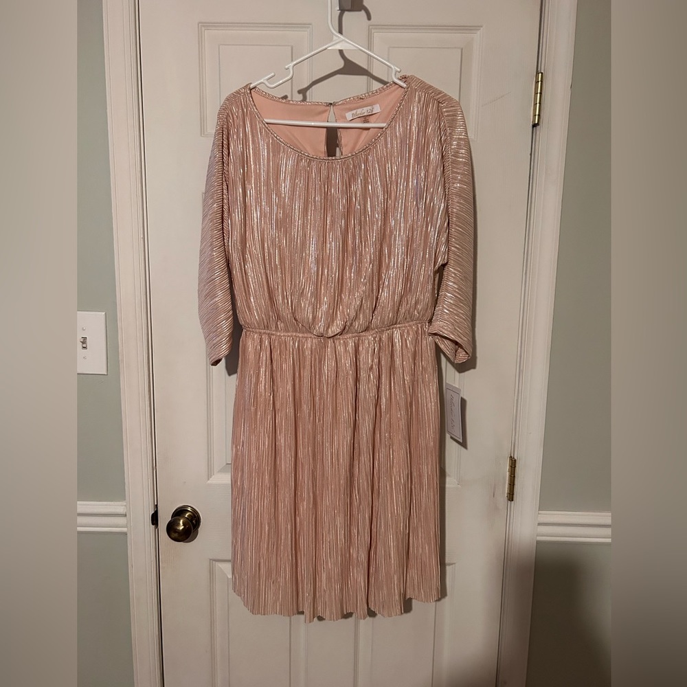 NWT Bleecker pink/tan dress